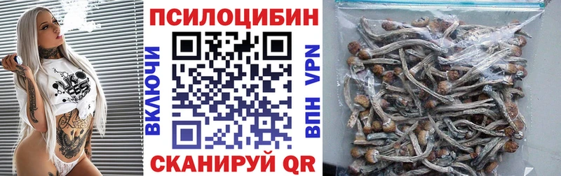 сколько стоит  сайты даркнета клад  Галлюциногенные грибы Psilocybe  Тула 