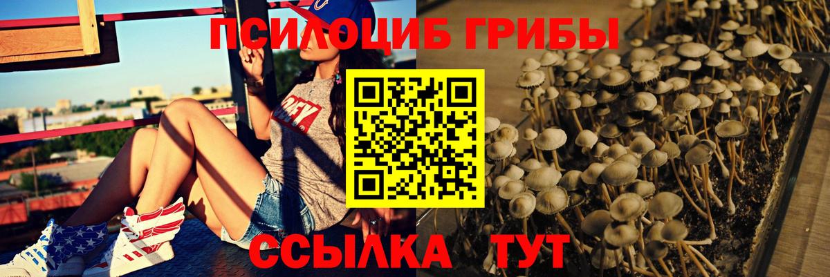 Псилоцибиновые грибы Psilocybe  Вход с VPN  Псилоцибиновые грибы Magic Shrooms  Тула 